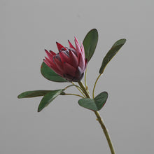 Load image into Gallery viewer, King Protea Artificial Flowers Stem PROTEA0001-0003
