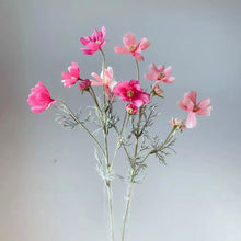 Load image into Gallery viewer, Cosmos Flower Artificial Silk 60cm 15 Colour Selections COSMO001-022
