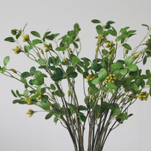 Load image into Gallery viewer, Aglaia Odorata Artificial Flowers Leaves Stem AGLAIA001
