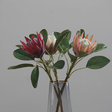 Load image into Gallery viewer, King Protea Artificial Flowers Stem PROTEA0001-0003
