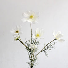 Load image into Gallery viewer, Cosmos Flower Artificial Silk 60cm 15 Colour Selections COSMO001-022
