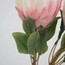 Load image into Gallery viewer, King Protea Artificial Silk Flower 73cm Stem PROTEA006-008
